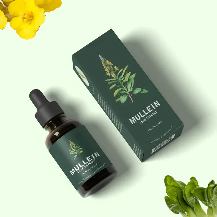 Natural Lung Cleanse Supplement – Mullein & Chlorophyll Formula