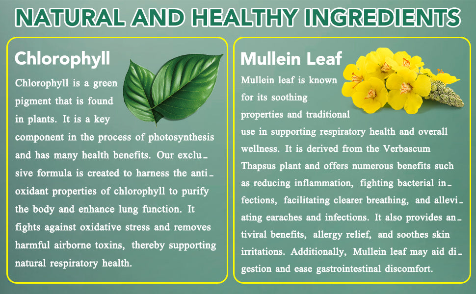 Natural Lung Cleanse Supplement – Mullein & Chlorophyll Formula