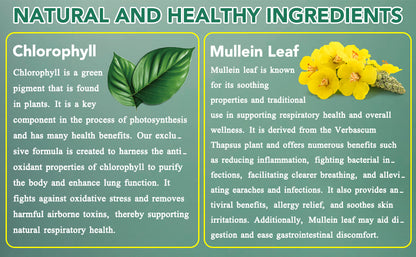 Natural Lung Cleanse Supplement – Mullein & Chlorophyll Formula
